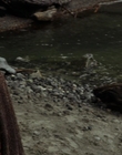 Filename=Once_Upon_a_Time_S03E08_mp41108.jpg
Filesize=976KiB
Dimensions=1920x1080
Date added=Mar 03, 2023 Once_Upon_a_Time_S03E08_mp41108.jpg