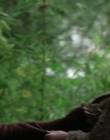 Filename=Once_Upon_a_Time_S03E08_mp41956.jpg
Filesize=872KiB
Dimensions=1920x1080
Date added=Mar 03, 2023 Once_Upon_a_Time_S03E08_mp41956.jpg
