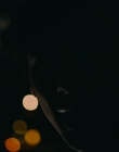 Filename=2022_-_Stay_Awake_mp41236.jpg
Filesize=177KiB
Dimensions=1916x1076
Date added=Jan 27, 2024 2022_-_Stay_Awake_mp41236.jpg