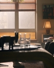 Filename=City_On_Fire_S01E01_mkv0063.jpg
Filesize=941KiB
Dimensions=1920x960
Date added=May 13, 2023 City_On_Fire_S01E01_mkv0063.jpg