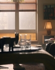 Filename=City_On_Fire_S01E01_mkv0064.jpg
Filesize=939KiB
Dimensions=1920x960
Date added=May 13, 2023 City_On_Fire_S01E01_mkv0064.jpg