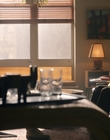 Filename=City_On_Fire_S01E01_mkv0065.jpg
Filesize=942KiB
Dimensions=1920x960
Date added=May 13, 2023 City_On_Fire_S01E01_mkv0065.jpg