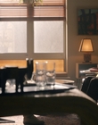 Filename=City_On_Fire_S01E01_mkv0066.jpg
Filesize=895KiB
Dimensions=1920x960
Date added=May 13, 2023 City_On_Fire_S01E01_mkv0066.jpg