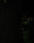 Filename=City_On_Fire_S01E01_mkv3191.jpg
Filesize=854KiB
Dimensions=1920x960
Date added=May 13, 2023 City_On_Fire_S01E01_mkv3191.jpg