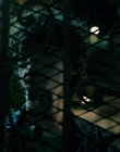 Filename=City_On_Fire_S01E02_mkv5924.jpg
Filesize=967KiB
Dimensions=1920x960
Date added=May 13, 2023 City_On_Fire_S01E02_mkv5924.jpg