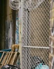Filename=City_on_Fire_S01E06_mkv4646.jpg
Filesize=1098KiB
Dimensions=1920x960
Date added=Jun 07, 2023 City_on_Fire_S01E06_mkv4646.jpg