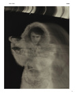 Scans08.jpg